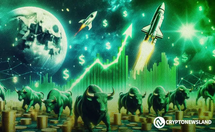 Altcoin Becomes Best Performing Crypto as X1 App Explodes with 500K Active Users! Solana Whales Rise, BNB Burns $1.16B