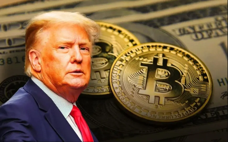 Trump's Tariffs Send Crypto Market Plummeting: Analyst Takes an In-Depth Look at What It Means for Bitcoin! “Incredible for BTC…”