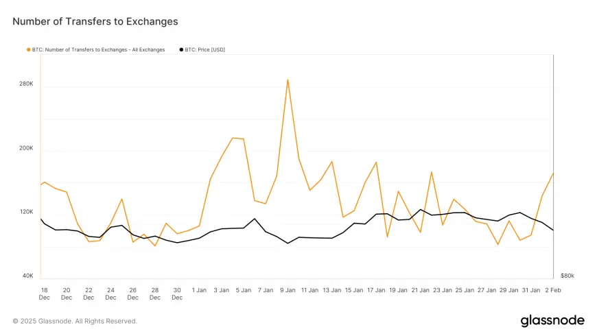 Bitcoin Experiences 6.4% Drop: Are Long-Term Holders Signaling a Temporary Market Shift?