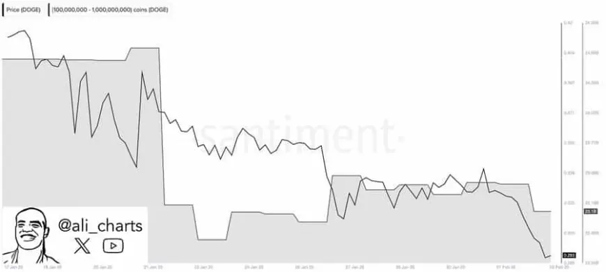 Dogecoin [DOGE] Faces Potential New Lows Amid Significant Whale Sell-Offs and Bearish Market Sentiment