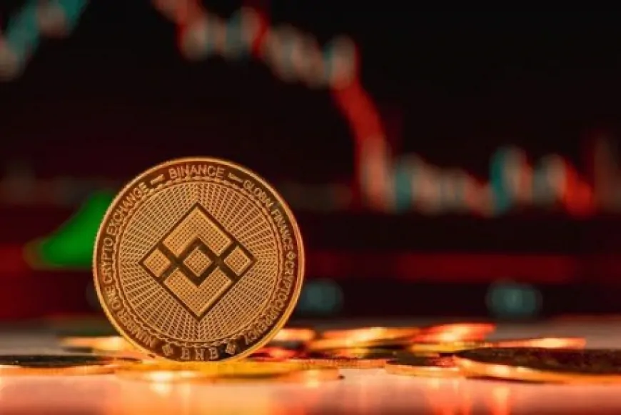 BNB Bounce From $500: A Temporary Recovery Or Start Of A Rally?