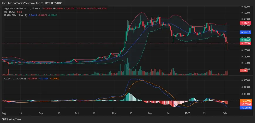 Dogecoin Whale Dumps 200M DOGE as Meme Coin Market Dips 15%