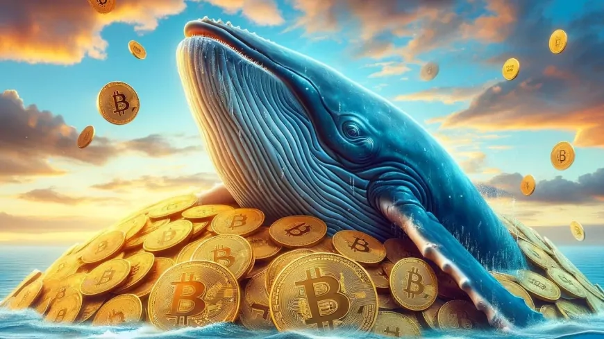 The Giant Bitcoin Whale with 'Diamond Hands' Who Turned $3 Into $5 Million Has Now Ran Out of Patience! He Transferred His BTCs!