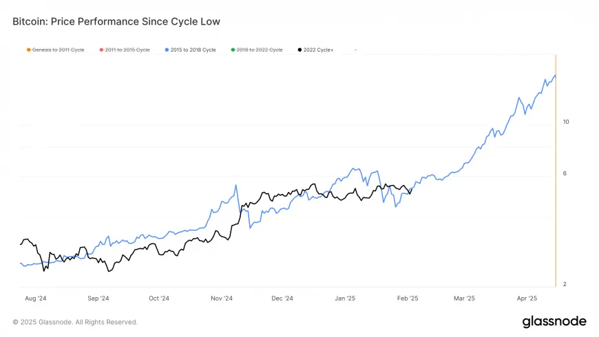 Bitcoin Still Following Previous Cycle's Trajectory Despite Price Drop: Van Straten