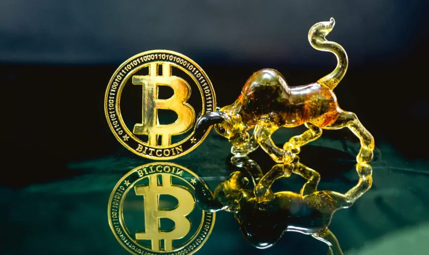 Famous Analyst Said, “Even If Everyone is Bearish on Bitcoin and Cryptocurrencies, I'm a Bull”, Lists 12 Reasons