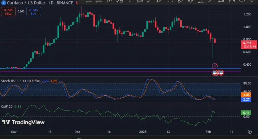 Cardano's Recent Surge Suggests Potential for Continued Growth Amid Market Recovery