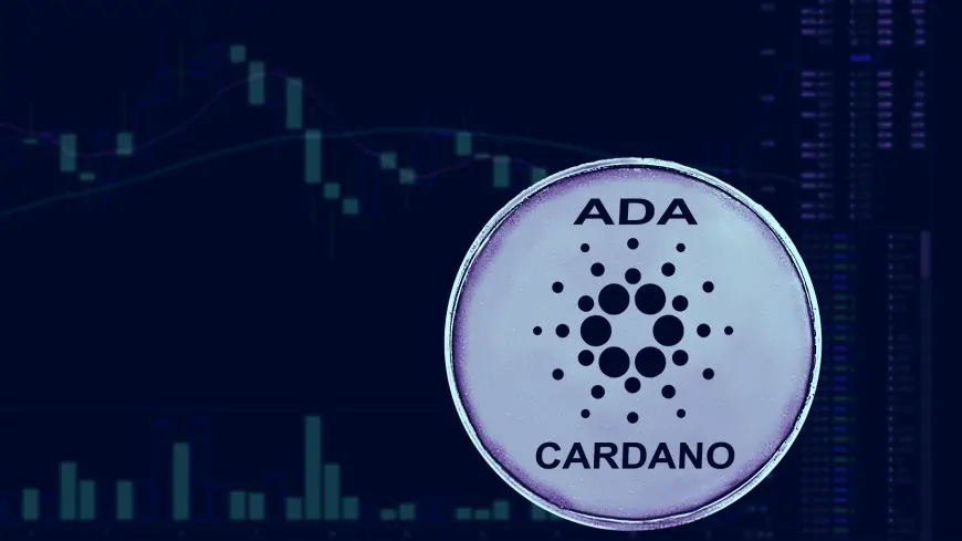 Cardano and Ripple Partnership in the Works? Hoskinson Teases Major Developments