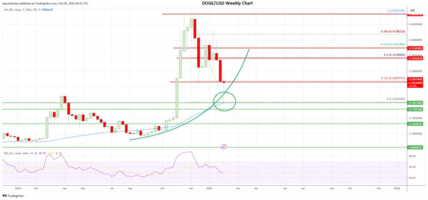 Dogecoin (DOGE) Tests Crucial Support: Is This the Perfect Buy Zone?