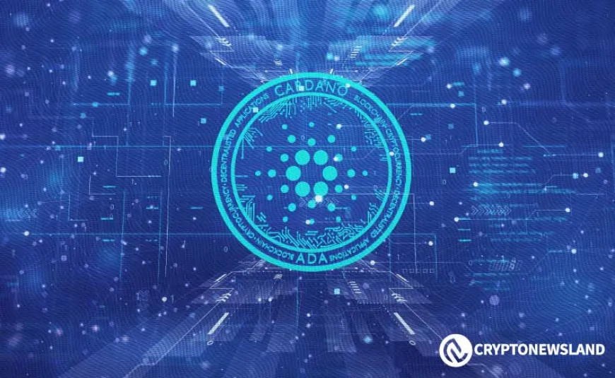 Cardano's Funding Rates Hit Yearly Low – What Next for ADA?