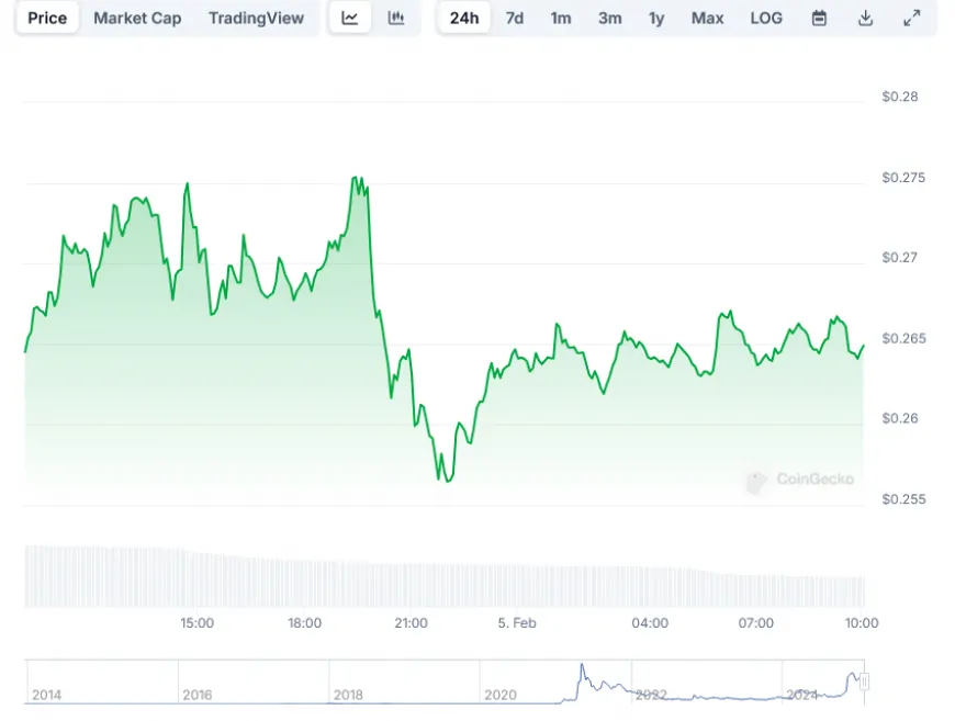 Neptune Digital Assets Adds 1M Dogecoin (DOGE) to Corporate Treasury