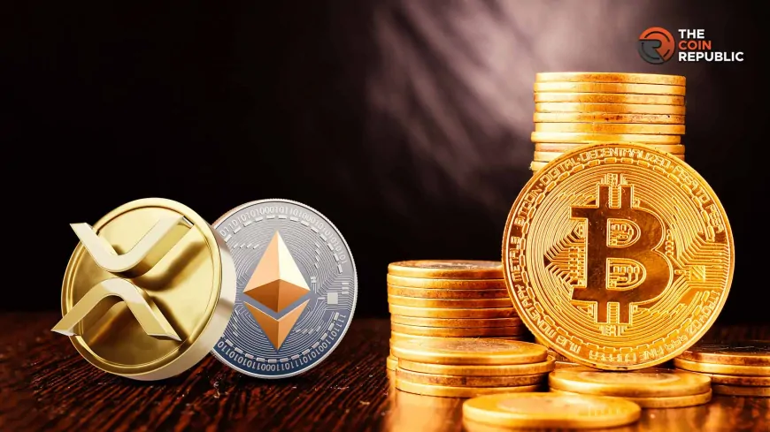 ‘Bitcoin Is The Signal': PlanB Flags Ethereum and XRP