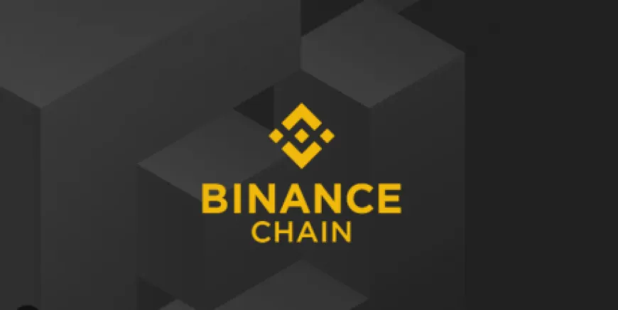 BNB Chain Defies Expectations With Over 20% Surge To $750 – Details