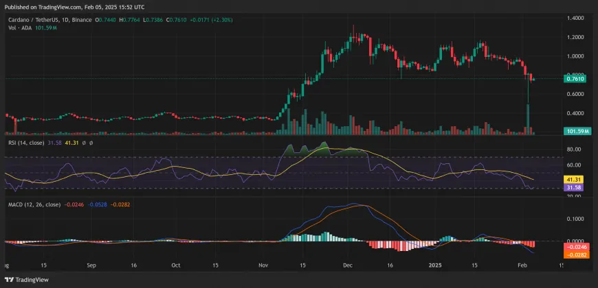 Cardano (ADA) Founder Predicts Major Crypto Bull Run, Declares 2025 ‘Crypto's Year' After Market Recovery