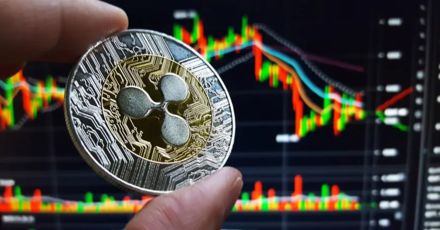 Market analysis hint at XRP and Solana price dip, Dogizen could be a safe haven