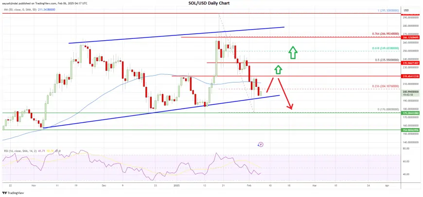 Solana (SOL) Reaches a Do-or-Die Moment: A Bounce or a Bigger Drop?