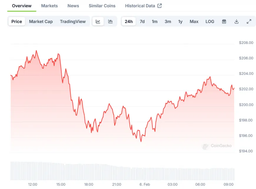 Solana (SOL) Price: Sees 213% Growth as Network Activity Soars