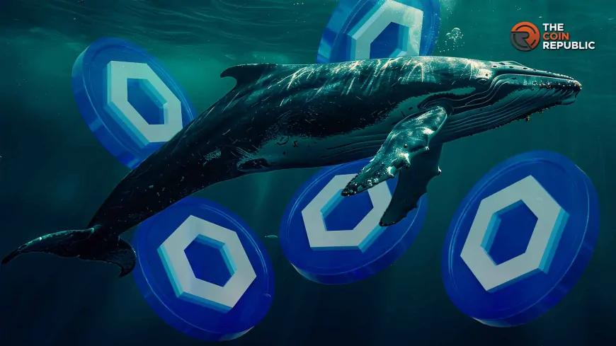 Whales Dumping Chainlink As Price Tumbles, Recovery Likely?