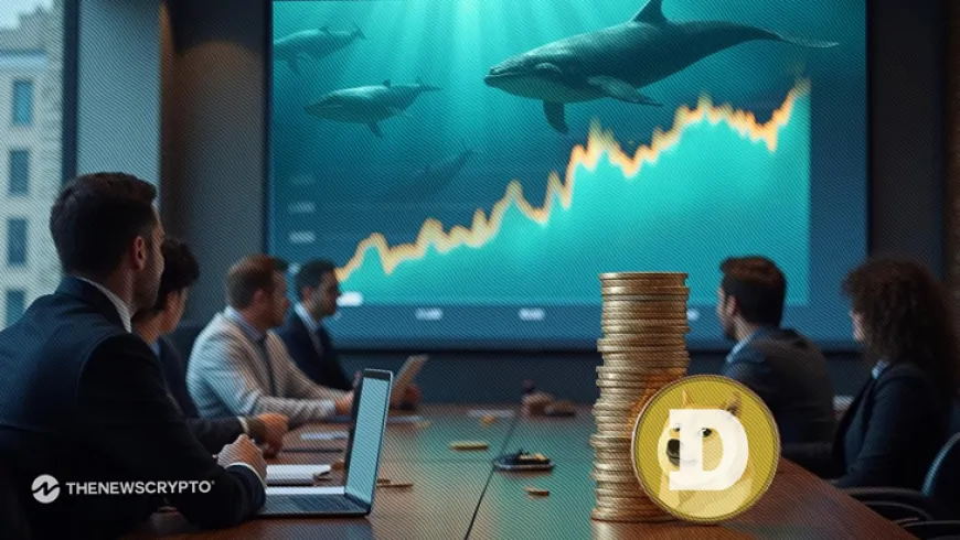 Dogecoin Whales Accumulate 750 Million DOGE Amidst Market Dip