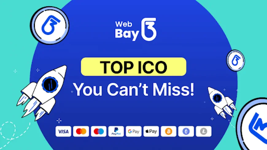 5 Top Crypto ICOs to Buy Now: Web3Bay, MIND of Pepe, Wall Street Pepe & More!