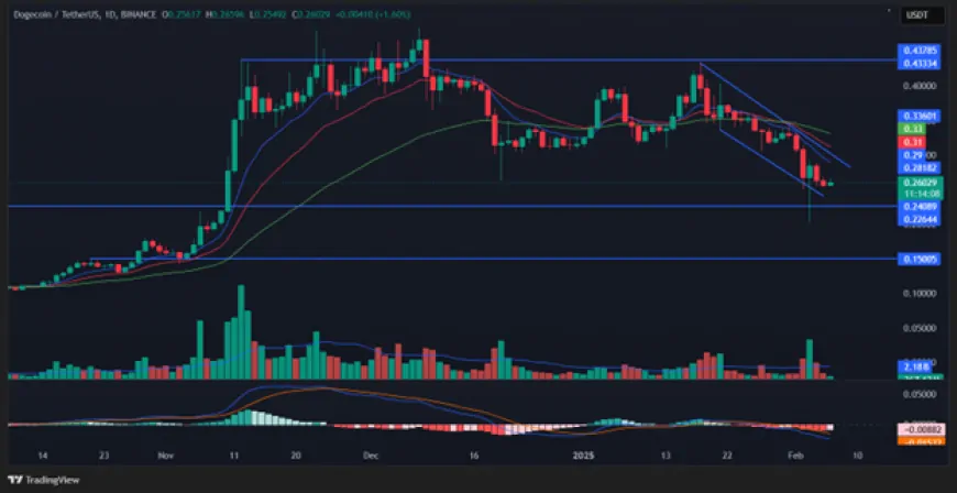 DOGE And PEPE Holders Favor This $0.16 Token: 1,000x Gains Possible?