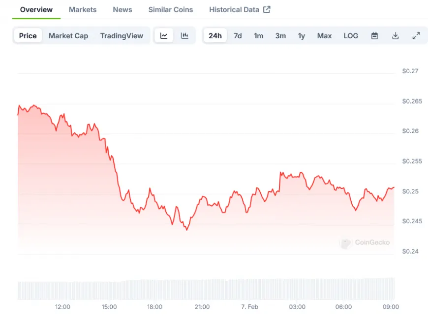 Dogecoin (DOGE) Price Stabilizes at $0.264 Following 20% Weekly Decline