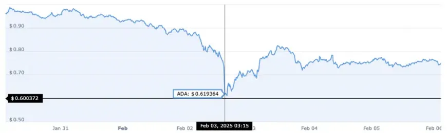 DTX Blazes Past $13.5M In Presale, Experts Predict ADA And PEPE Could Lag Behind in 2025