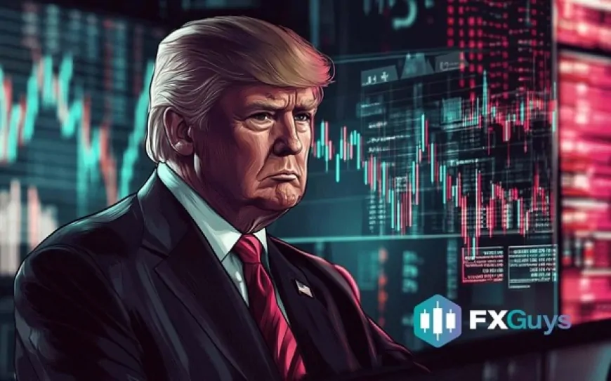 Trump-Linked WLF Expands Crypto Holdings and Focuses on Future Regulatory Role