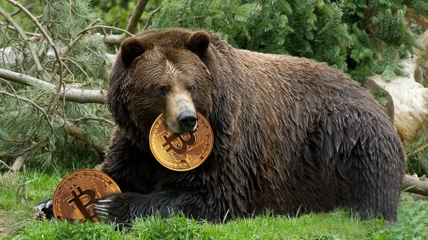 Big Bear Analyst il Capo Listed His Expectations for the Future of Bitcoin and Altcoins! He Announced His New Strategy!