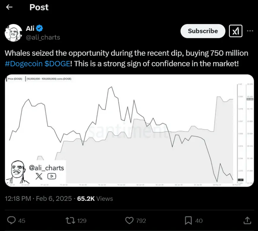 Dogecoin Whales Grab 750M DOGE—Analyst Sees Price Hitting $10