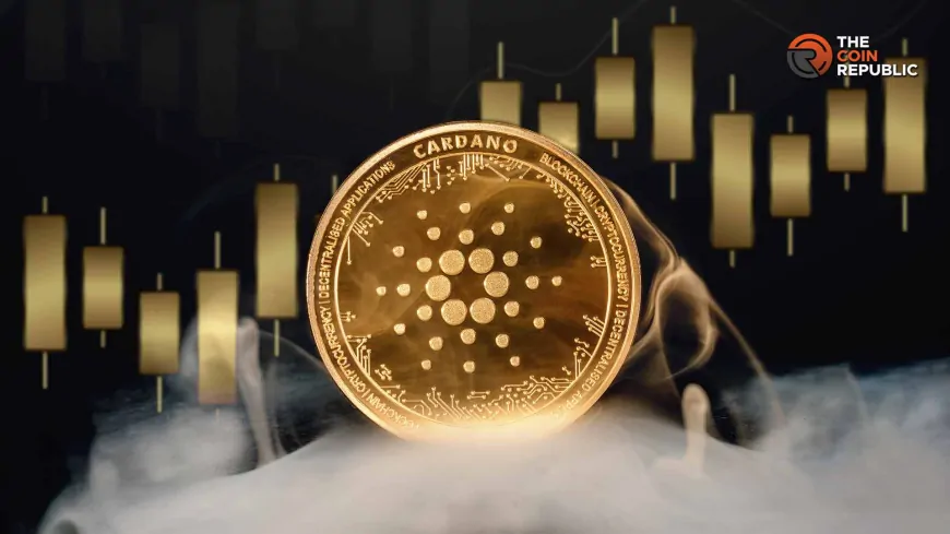 Cardano Price Faces Flash Crash As Market Liquidation Tops $240 Million