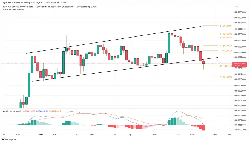 BONK News: BONK Price Crashes 30%: Can 2.025T Token Burn Trigger Rebound?