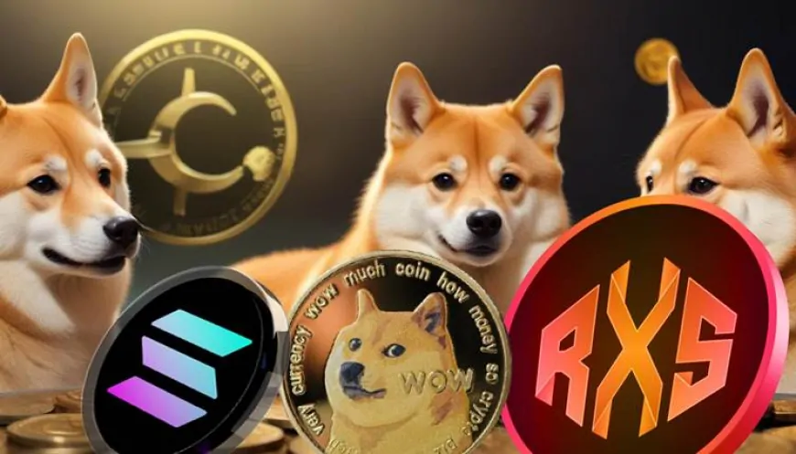 Don't Focus Too Much on Solana (SOL) & Dogecoin (DOGE) and Miss a 3000% ROI With These 3 Coins