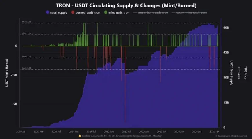 USDT Minting Surge on TRON Raises Questions About TRX Price Stability and Market Sentiment