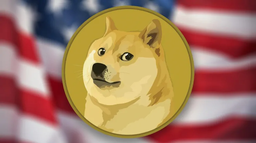 Dogecoin Foundation Director Teases Partnerships With American Brands, Wider Adoption Of DOGE Payments