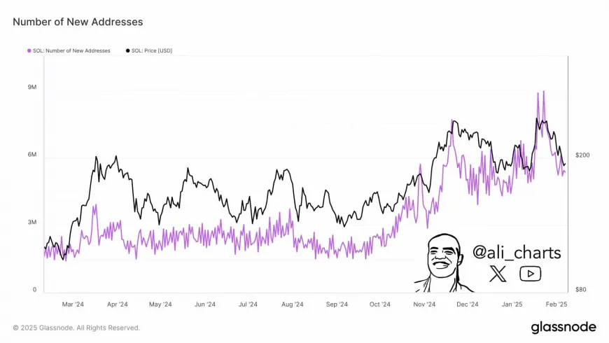 Solana's Growth Momentum and Increasing Trader Confidence Could Signal Continued Upward Potential for SOL