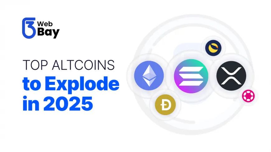 Top 5 Crypto Gems to Invest in 2025: Web3Bay, Bitcoin, Solana & More— Must-Have Coins List!  