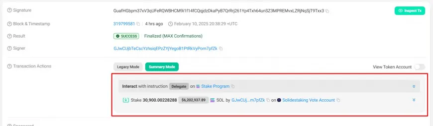 Solana Whales Show Interest in Protecting $200 Mark as Potential Price Movements Loom