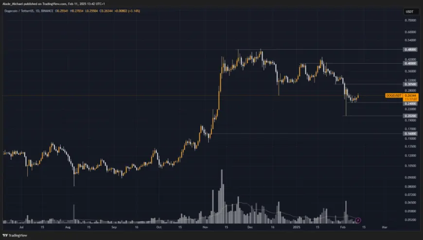 DOGECOIN PRICE ANALYSIS & PREDICTION (February 11) – Doge Posts Minor Gains as Market Recovers But Remains Under Bears' Radar