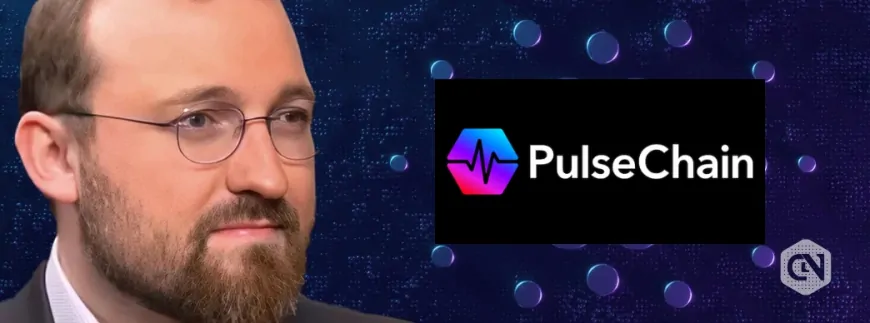 Cardano Founder Charles Hoskinson Denies Lawsuit Against Pulsechain