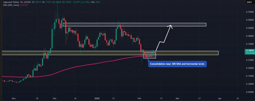 Algorand (ALGO) Could Potentially Surge to $0.45 If It Maintains Momentum Above $0.315