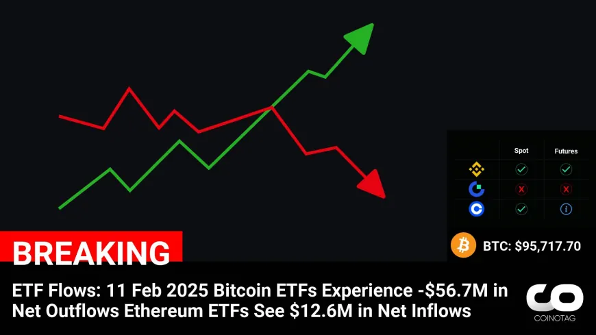 Bitcoin ETFs Record -$56.7M Net Outflows, While Ethereum ETFs Gain $12.6M Inflows in Latest ETF Flow Report, 11 Feb 2025