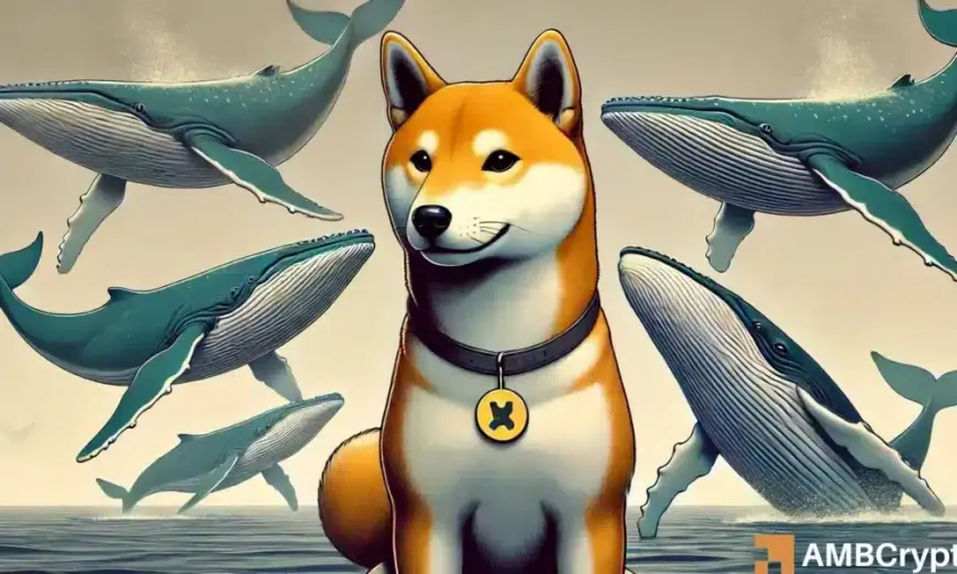 Shiba Inu holds strong at THIS support – Is it time to buy SHIB?