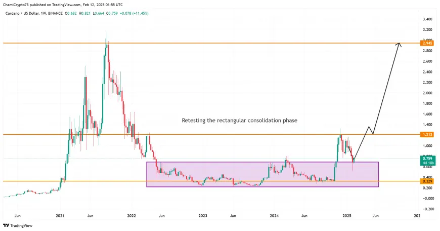 Cardano's Potential for Growth Depends on Overcoming Resistance and Managing Market Sentiment