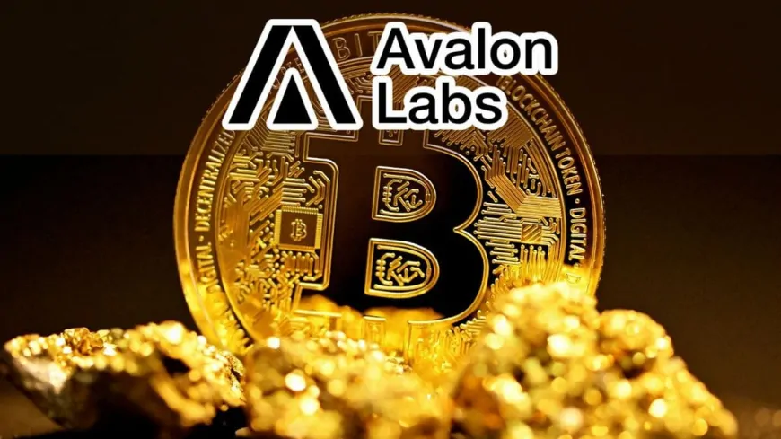 Avalon Labs Plans to Launch First-Ever Bitcoin-Backed Debt Fund in the US