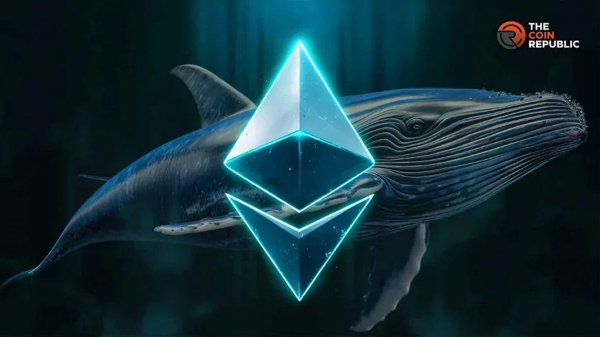 Whales Accumulate ETH: Analysts Predict Ethereum Price's Parabolic Move