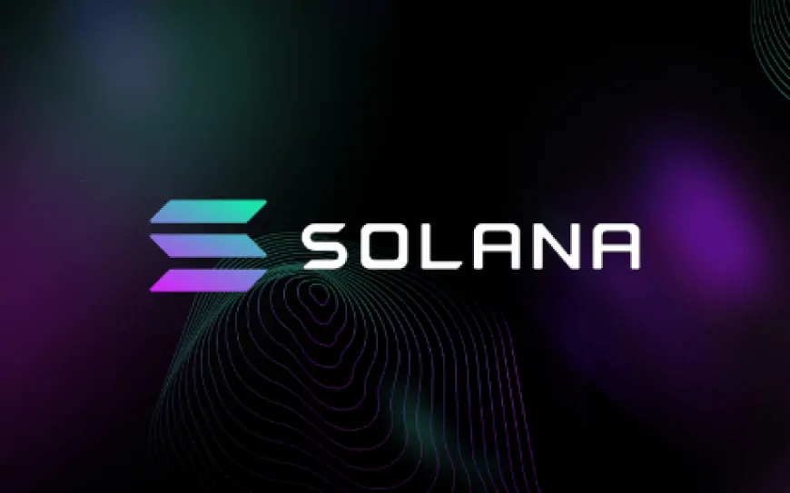 Solana Whale Breaks Silence, Moves Over 61,000 SOL In Massive Accumulation