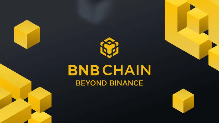 Changpeng Zhao (CZ)'s Influence Fuels BNB Chain Popularity Surge