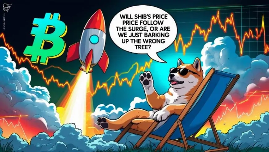 Shiba Inu Open Interest Sees 15% Surge: Will SHIB Follow the Trend?