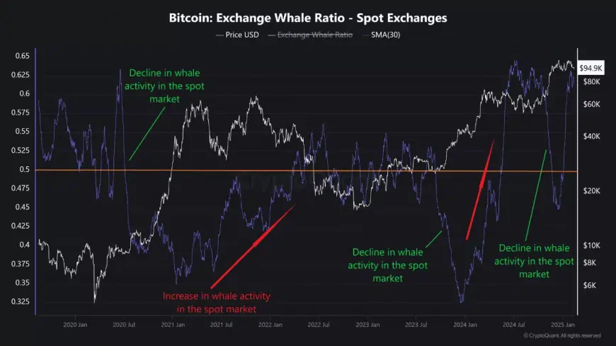 Bitcoin Whale Activity Surges, Indicating Potential Market Shifts and Strategic Entry Points