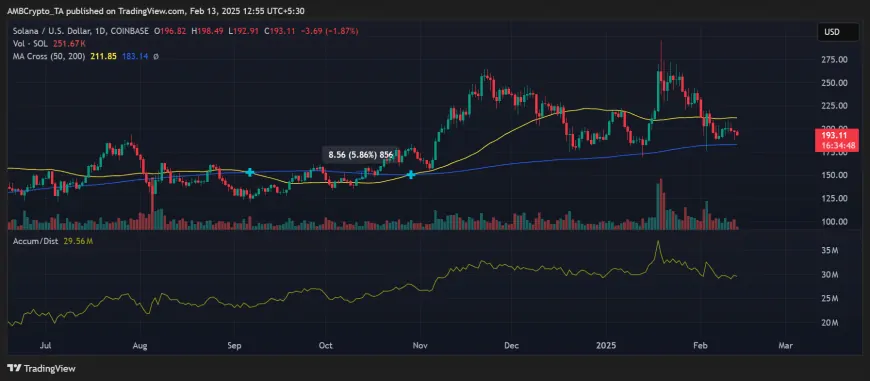 Major Solana Whale Withdraws 61,319 SOL: Could This Indicate a Shift Towards Bullish Momentum?